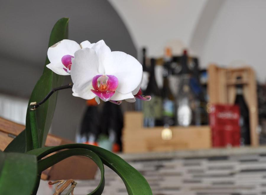 Hotel Torre Челе Лигуре Екстериор снимка